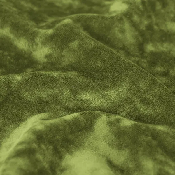 Green_Bedding_Extra_Soft_Velvet_Plush_Twin_Micro_Fleece_Sheet_Set_Deluxe_Microplush_Non_Pilling_Sheets_Deep_Pocket_Lavish_Sherpa_Velvet_Luxe_Collection