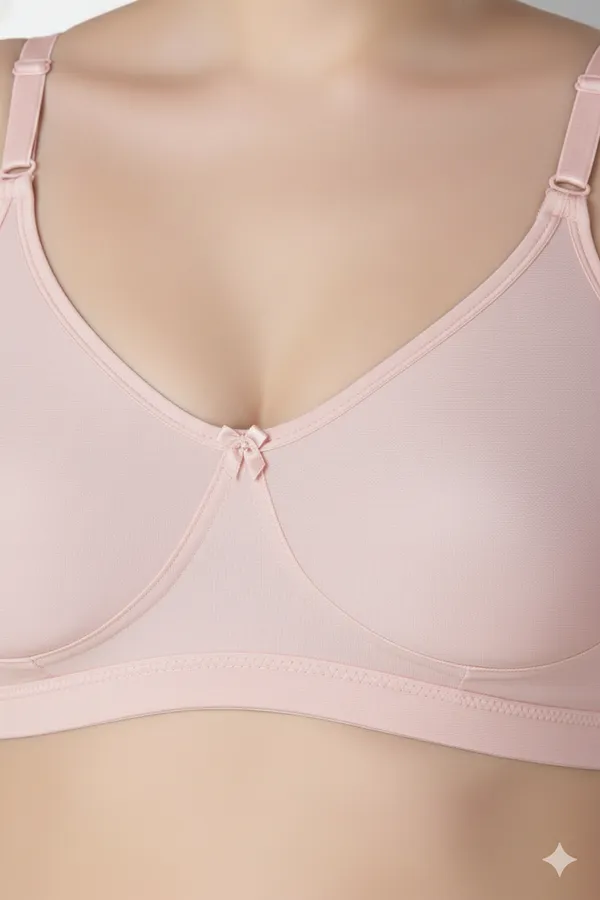 LT_PINK_Pc_Soft_Cotton_Everyday_T_Shirt_Bra_For_Women