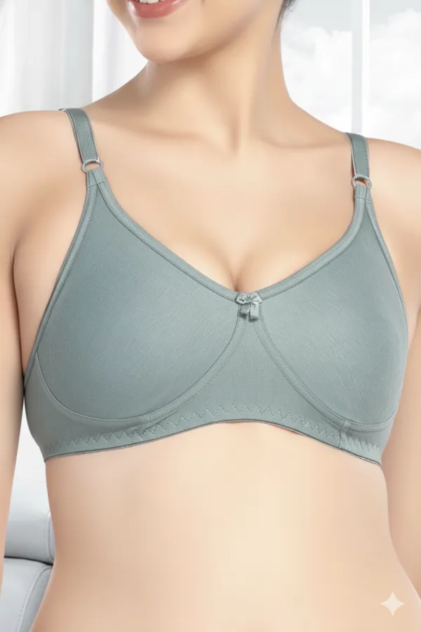 Blue_Cotton_Lycra_Everyday_T_Shirt_Bra_For_Women