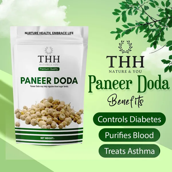 Paneer_Doda_Phool_For_Diabetes_Dodi_(Flower)_Natural_Paneer_Ke_Phool
