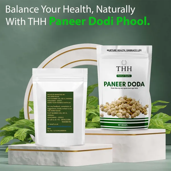 Paneer_Doda_Phool_For_Diabetes_Dodi_(Flower)_Natural_Paneer_Ke_Phool