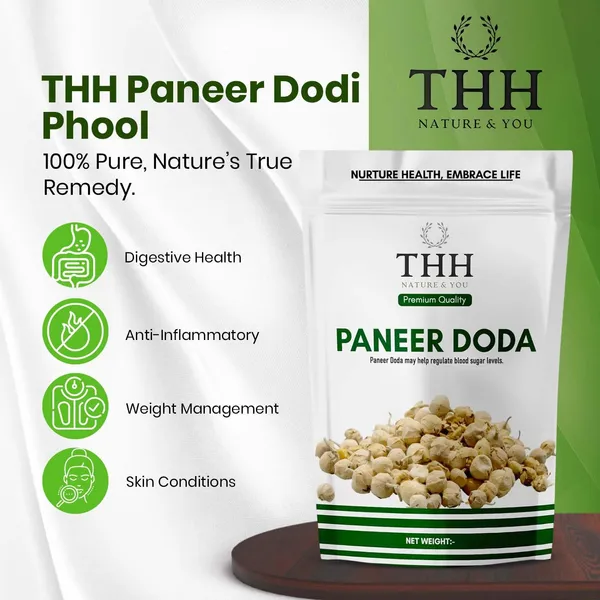 Paneer_Doda_Phool_For_Diabetes_Dodi_(Flower)_Natural_Paneer_Ke_Phool