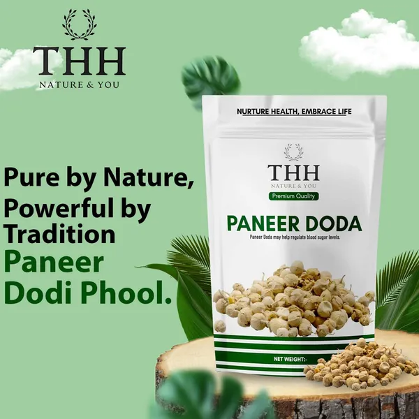 Paneer_Doda_Phool_For_Diabetes_Dodi_(Flower)_Natural_Paneer_Ke_Phool
