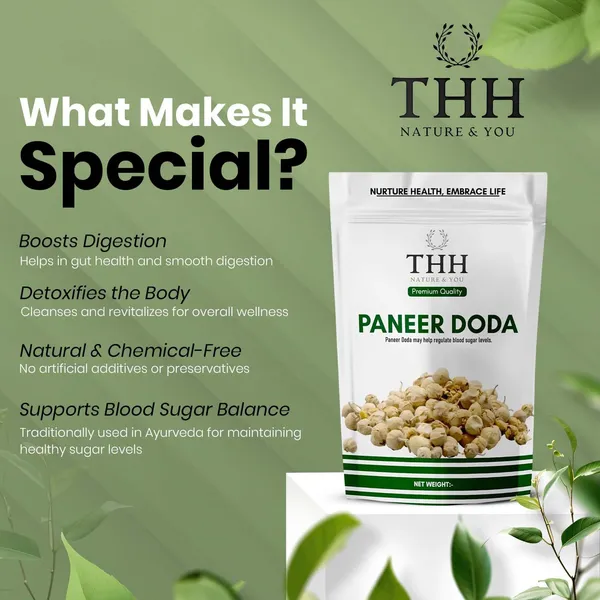 Paneer_Doda_Phool_For_Diabetes_Dodi_(Flower)_Natural_Paneer_Ke_Phool