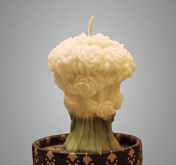 The_Aboli_Velvet_Bloosom_Candle_(_White_Color_)