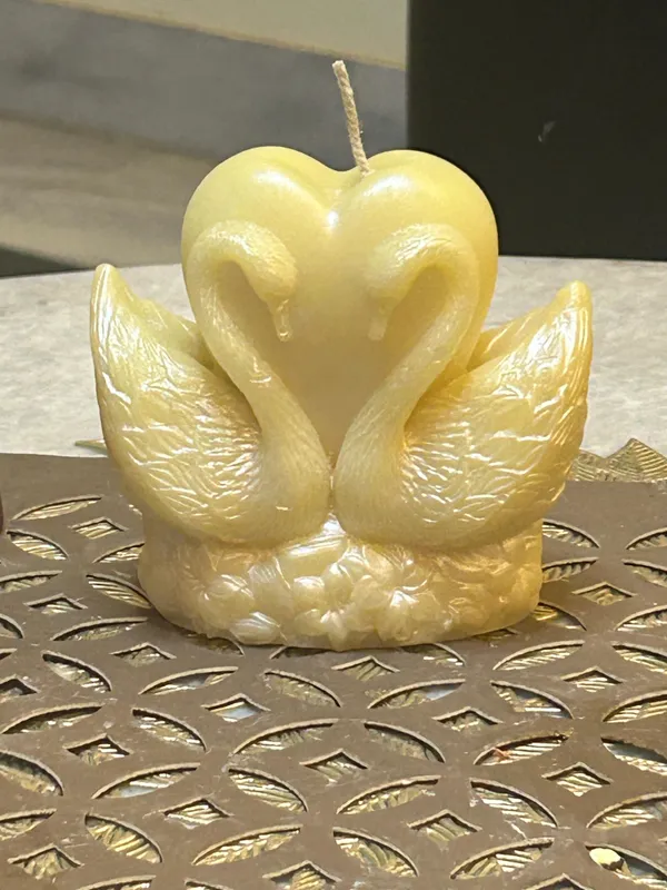 White_Swans