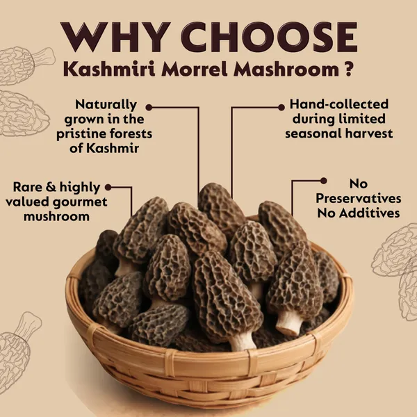 100%_Natural_Sun-Dried_Morel_Mushrooms
