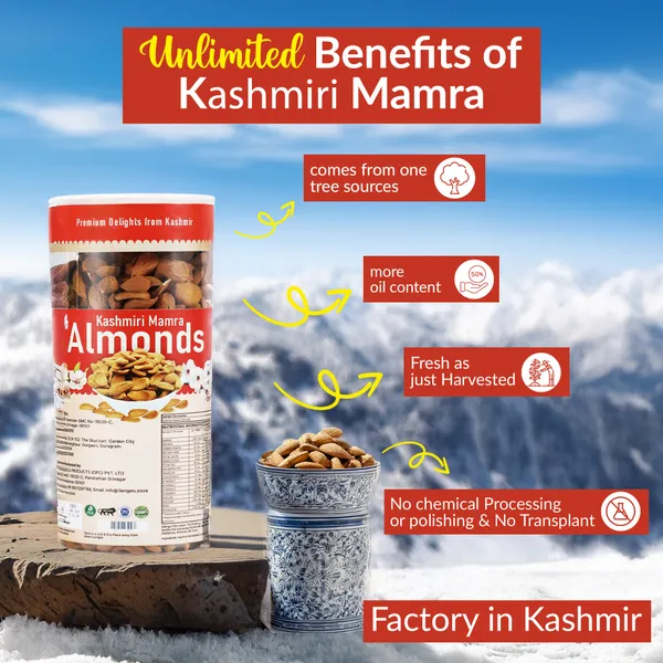 Kashmir_Mamra_Almonds_Can_500_Gm