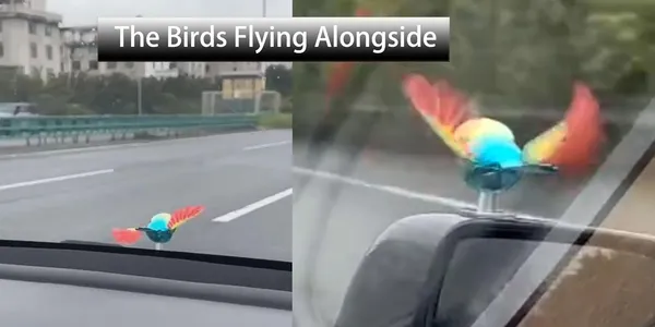 Multicolor_Accompanying_Bird_Car_Rearview_Mirror_Ornament