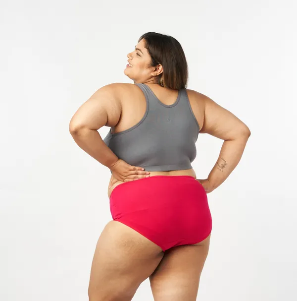 Bigtees_Women'S_Low_Waist_Cotton_Panties_|_Soft_Stretchable_Bikini_Briefs_|_Comfortable_Everyday_Innerwear_|_Sizes_L_To_8Xl