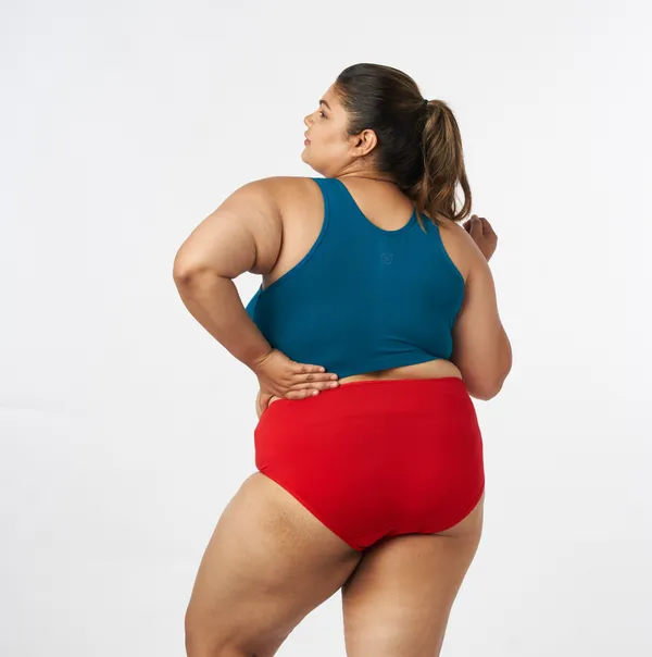 Bigtees_Women'S_Low_Waist_Cotton_Panties_|_Soft_Stretchable_Bikini_Briefs_|_Comfortable_Everyday_Innerwear_|_Sizes_L_To_8Xl