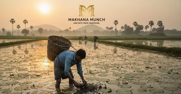 Makhana_Munch_Premium_Fox_Nuts,_Natural_Lotus_Seeds,_Traditional_Indian_Snack