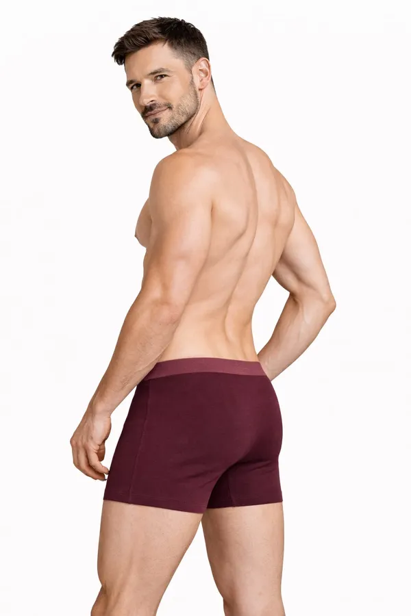 Maroon_Lenzing_Micro_Modal_Elastane_Stretch_With_Moisture_Move_Properties_Trunks_For_Men