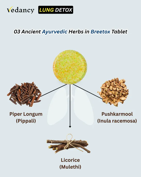 Pack_Of_2_Breetox_Lung_Detox_Effervescent_Tablets_Supports_Lung_Cleanse,_Respiratory_Health_&_Pollution_Defense_With_Nac,_Vitamin_C_&_Ayurvedic_Herbs_Honey_Lemon_Ginger_Flavor_Sugar-Free,_Vegan