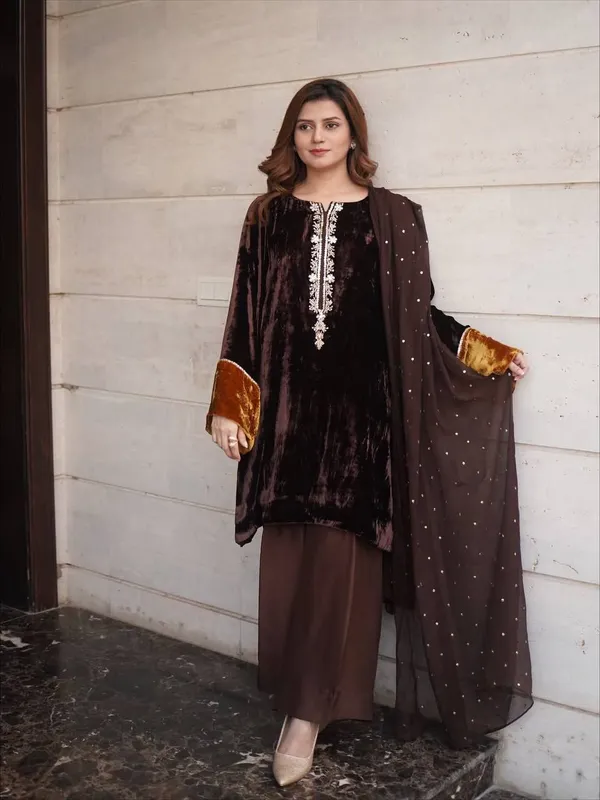 Brown_Premium_Velvet_Dress_For_Women