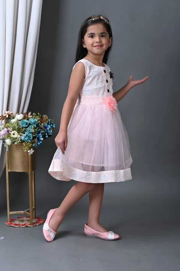 Blush_Pink_And_Ivory_Net_Party_Wear_Dress_For_Kids