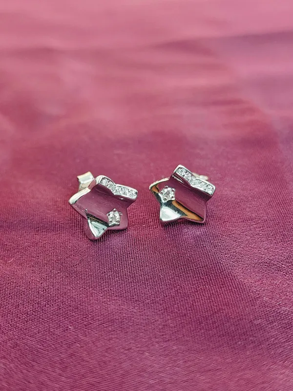 Silver_Small_Hoop_Earrings_For_Female