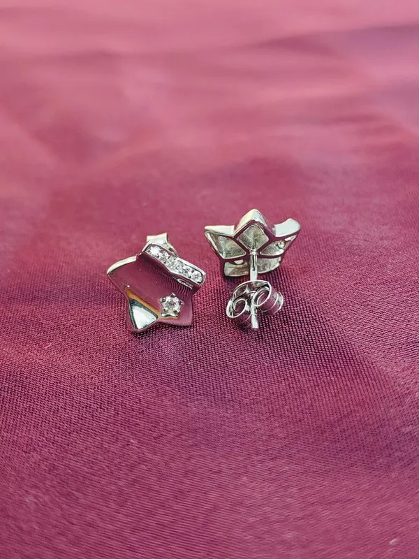 Silver_Small_Hoop_Earrings_For_Female