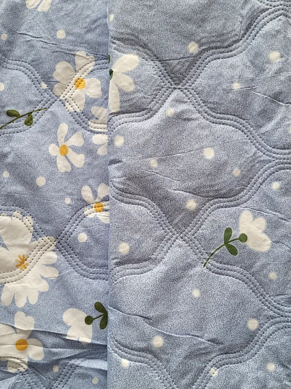 Bunio_Super_Soft_Reversible_Comforter__All-Season_Comforter_for_Double_Bed_-__Sky_Blue