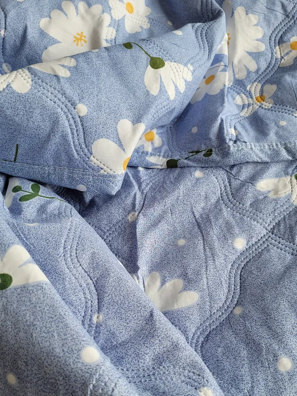 Bunio_Super_Soft_Reversible_Comforter__All-Season_Comforter_for_Double_Bed_-__Sky_Blue