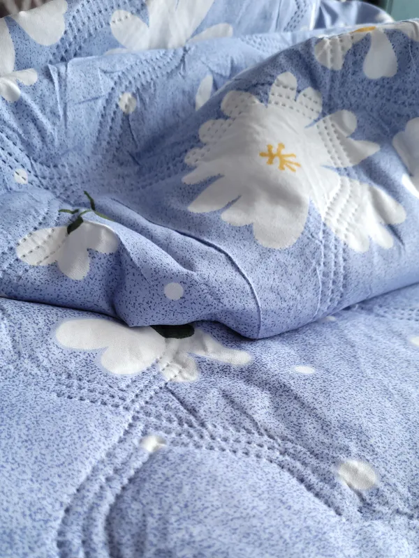 Bunio_Super_Soft_Reversible_Comforter__All-Season_Comforter_for_Double_Bed_-__Sky_Blue