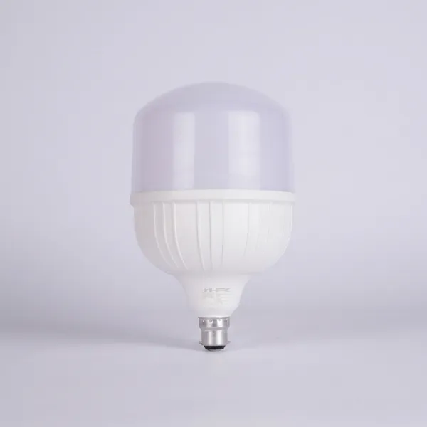 50_Watt_Led_Bulb_|_Home_&_Outdoor_Lighting
