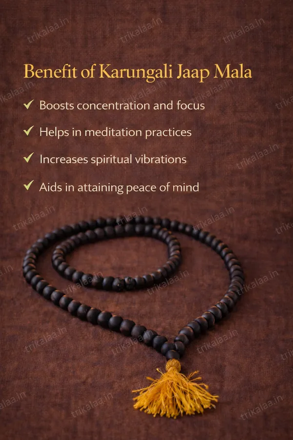 108_Plus_1_Karungali_Mala_–_Natural_Ebony_Wood_Beads
