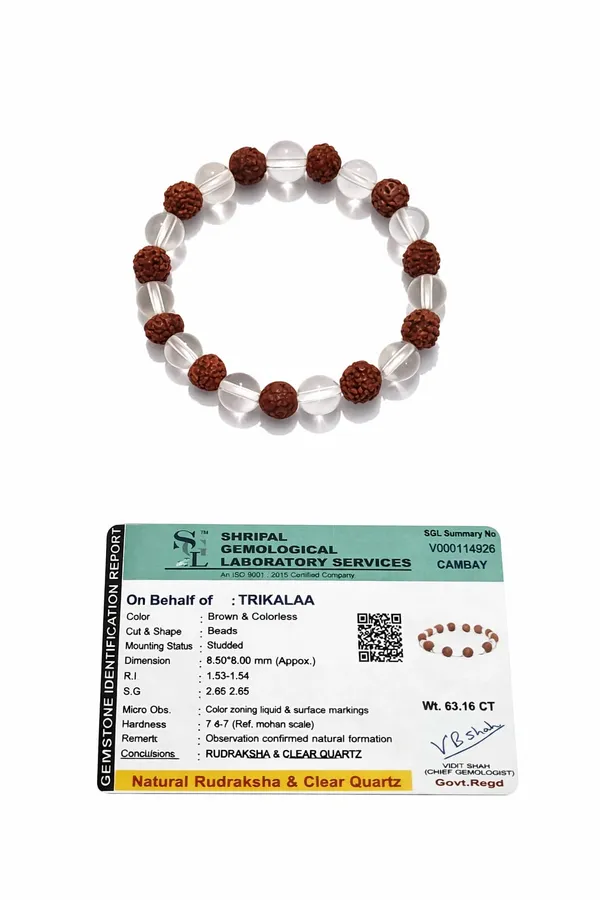 Clear_Quartz_(Sphatik)_&_Rudraksha_Bracelet_For_Protection,_Peace_&_Spiritual_Balance
