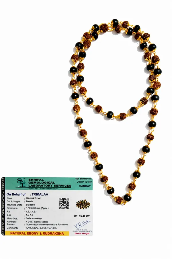 Rudraksha_&_Karungali_Mala_With_Gold_Capping_For_Protection,_Power_&_Spiritual_Balance