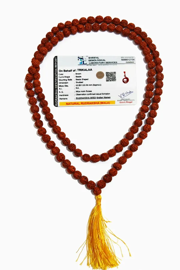 5_Mukhi_Rudraksha_Mala_8Mm_(108+1_Beads)_–_Peace,_Healing_&_Spiritual_Balance_Japa_Mala