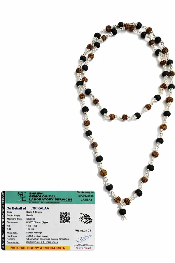 Rudraksha_&_Karungali_Mala_With_Silver_Capping_For_Protection,_Grounding_&_Spiritual_Balance