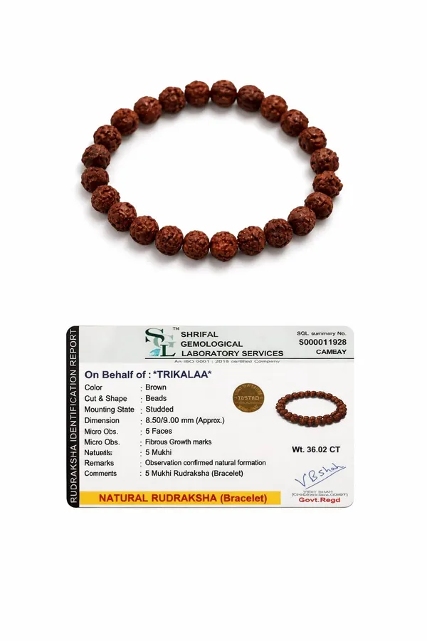 5_Mukhi_Rudraksha_Healing_Bracelet