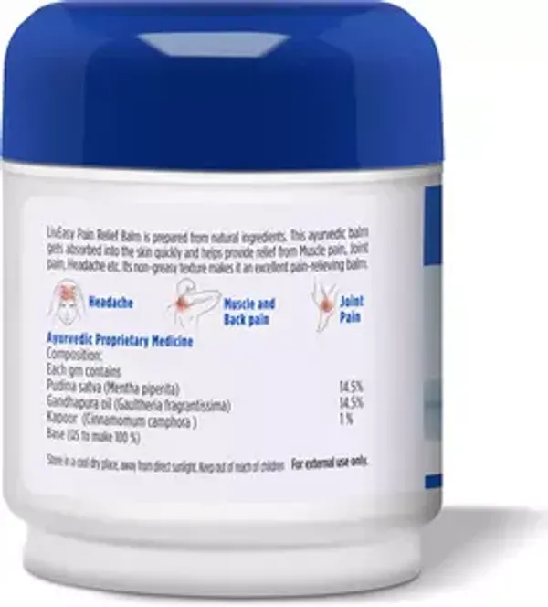 Blue_And_White_Wellness_Pain_Relief_Balm_(45Gm)