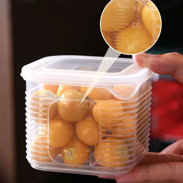 Multi-Compartment_Fresh_Storage_Container_with_lid