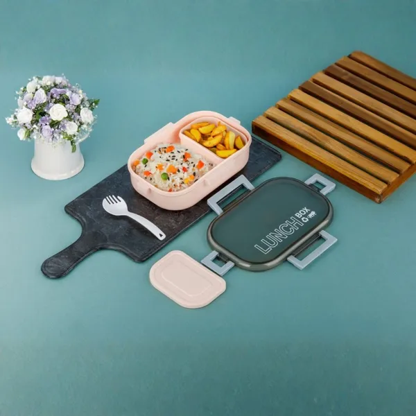 Multicolor_Fusion_Lunch_Box_With_2_In_1_Fork_And_Spoon