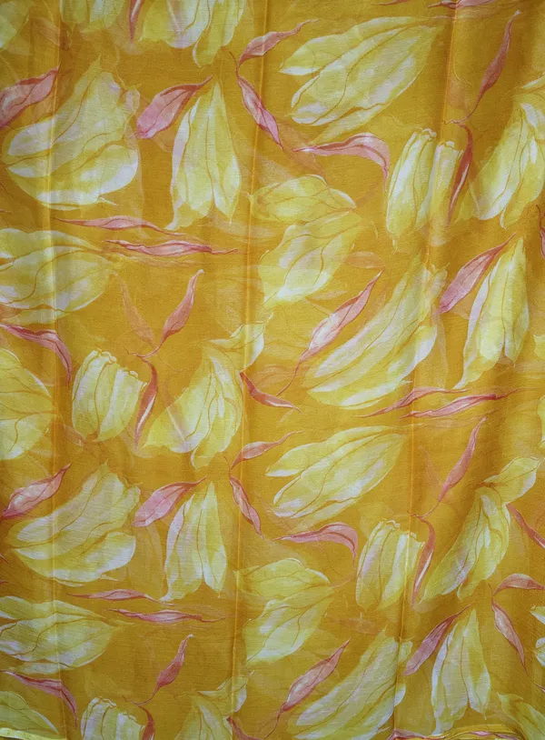 chiffon_Saree