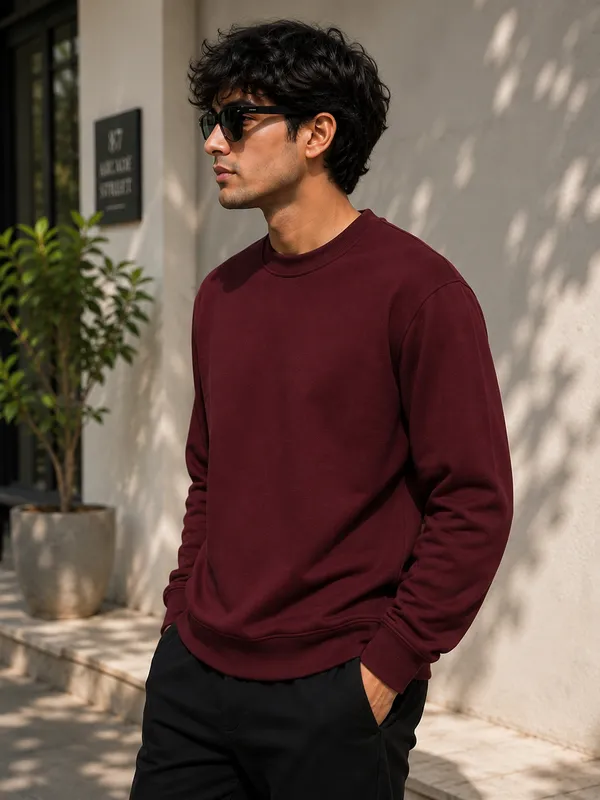 Marron_Mens_full_sleeve_sweatshirt