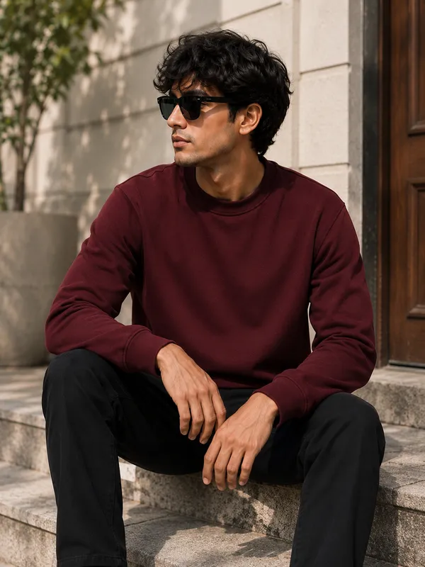 Marron_Mens_full_sleeve_sweatshirt