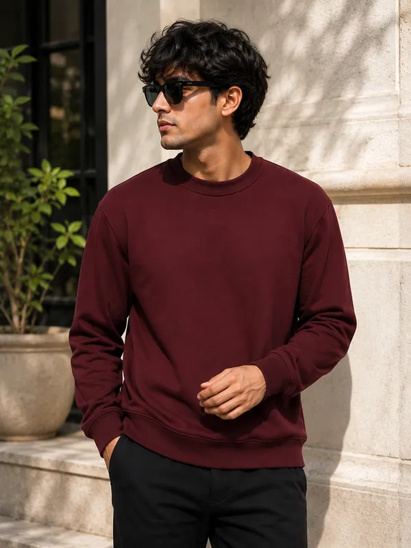 Marron_Mens_full_sleeve_sweatshirt