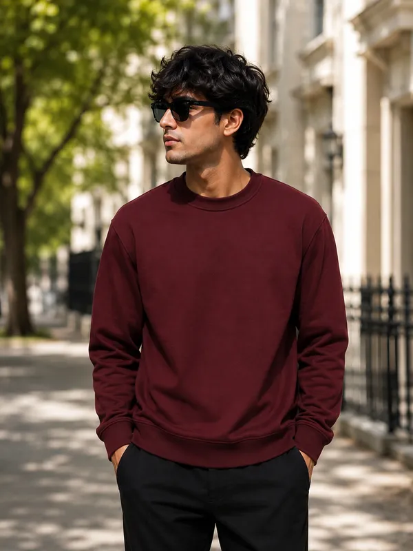 Marron_Mens_full_sleeve_sweatshirt