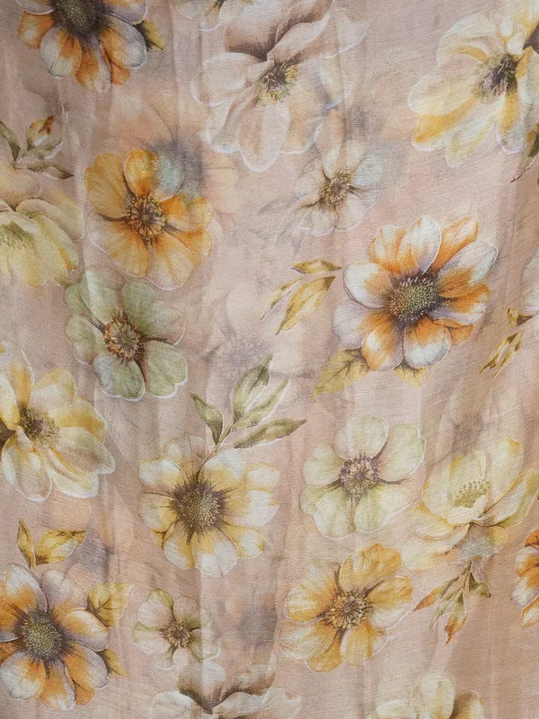 chiffon_Saree