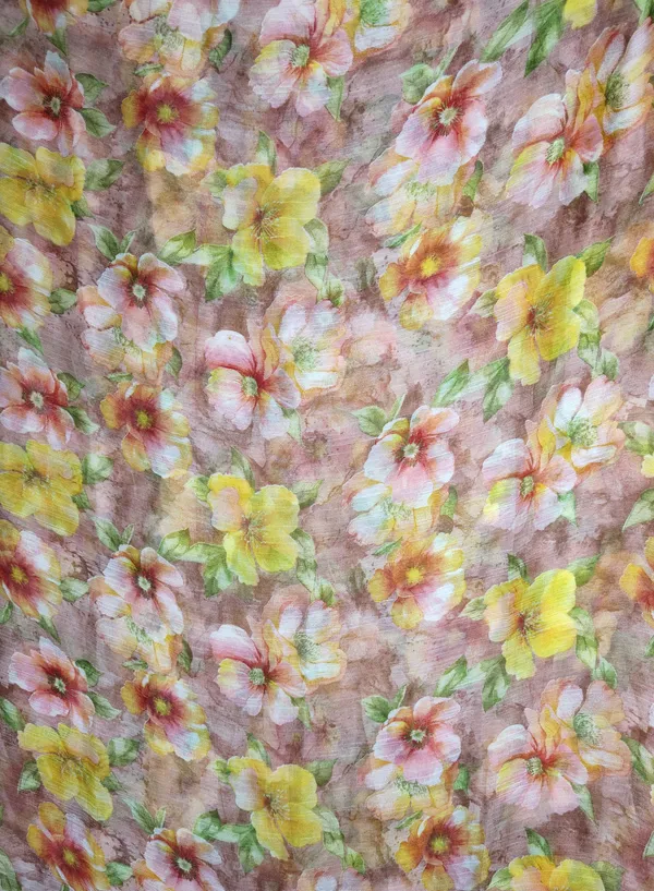 chiffon_Saree