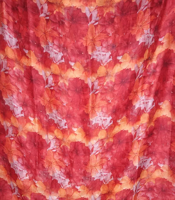 chiffon_Saree