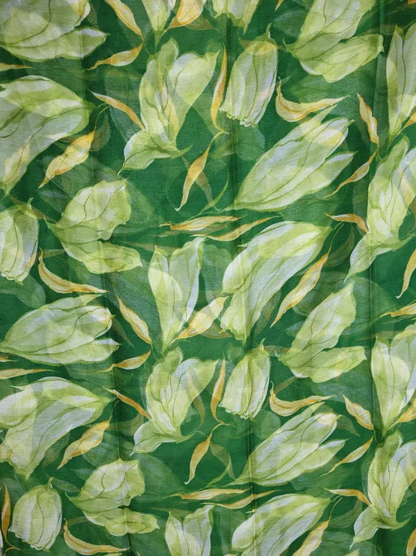 chiffon_Saree