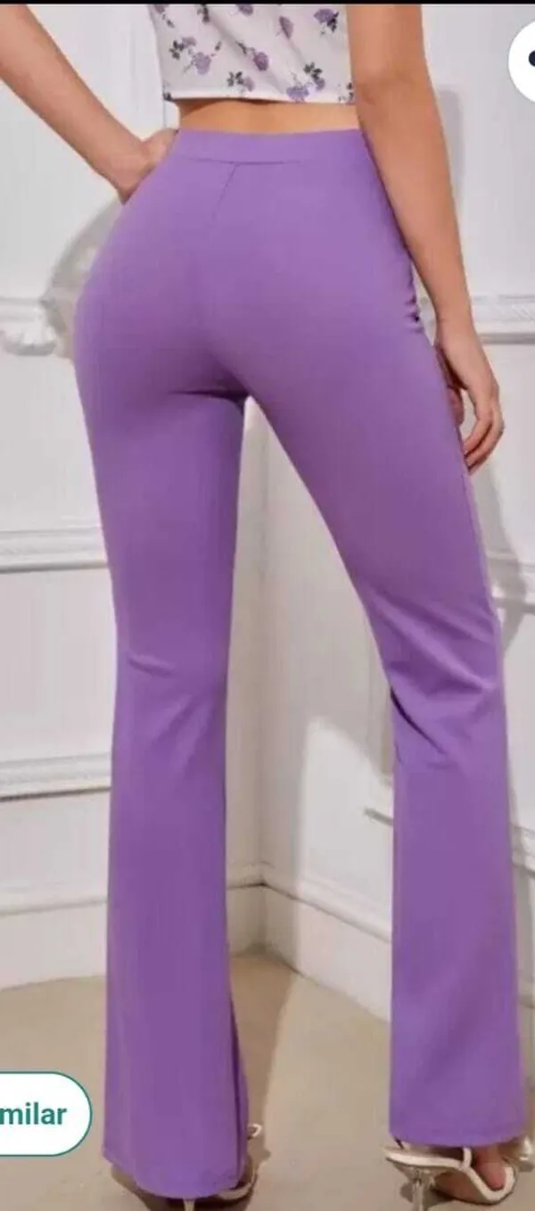 Purple_Viscose_Rayon_Regular_Fit_Trousers_For_Women