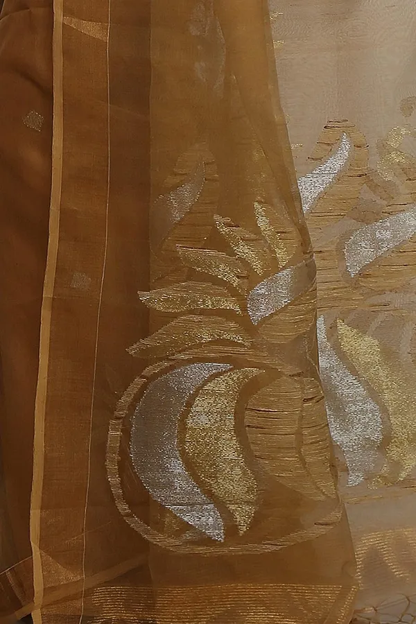 Brown_Pure_Resham_Silk_Saree_With_Zari_Border_For_Women