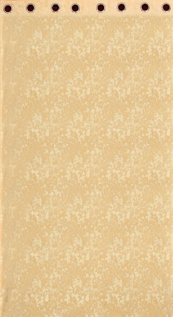 Beige_Premium_Classic_Polyester_Door_Curtain_And_Window_Curtain