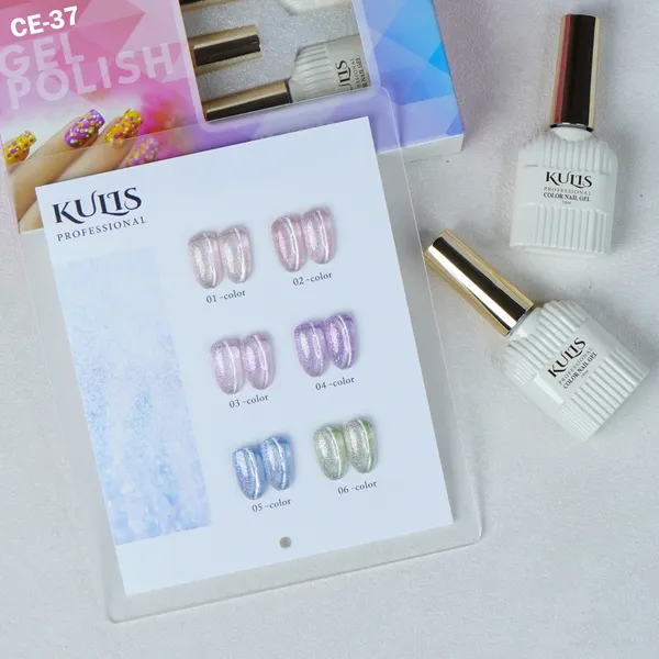 6Pcs_Silk_Cateye_UV_Gel_Nail_Polish_Sets_CE37