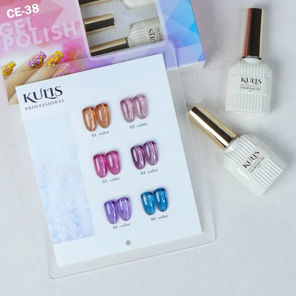 6Pcs_Silk_Cateye_UV_Gel_Nail_Polish_Sets_CE38