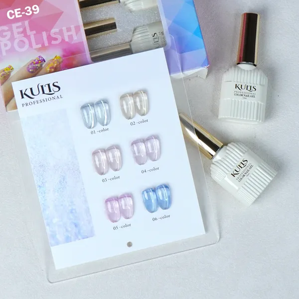 6Pcs_Silk_Cateye_UV_Gel_Nail_Polish_Sets_CE39